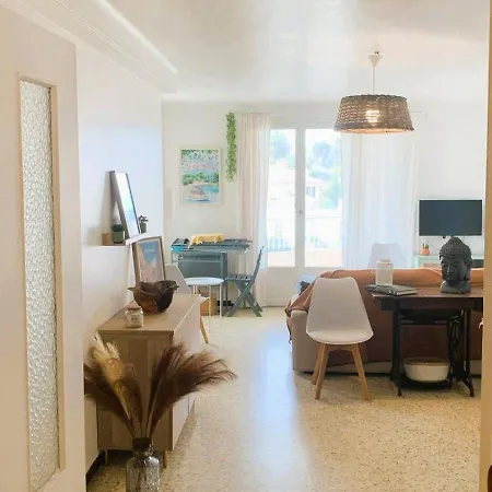 Center Of Spacious 2 Bedroom Flat With Terrace And Air Conditioning Apartment Antibes